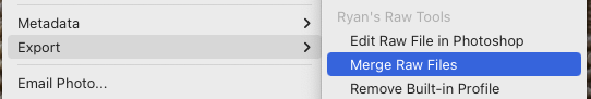 Export menu with plugins
